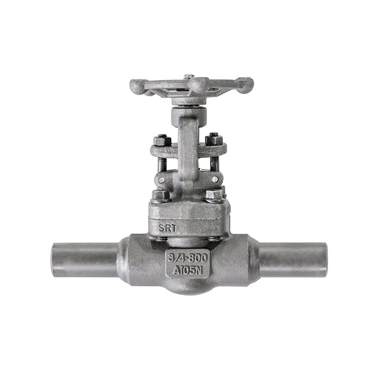 ꯃꯥꯏꯛꯔꯣ ꯑꯦꯛꯁꯣꯁ ꯚꯜꯌꯨ ꯑꯁꯤ ꯀꯔꯝꯅꯥ ꯈꯉꯒꯅꯤ?浙江橙树-无敌队-郑清