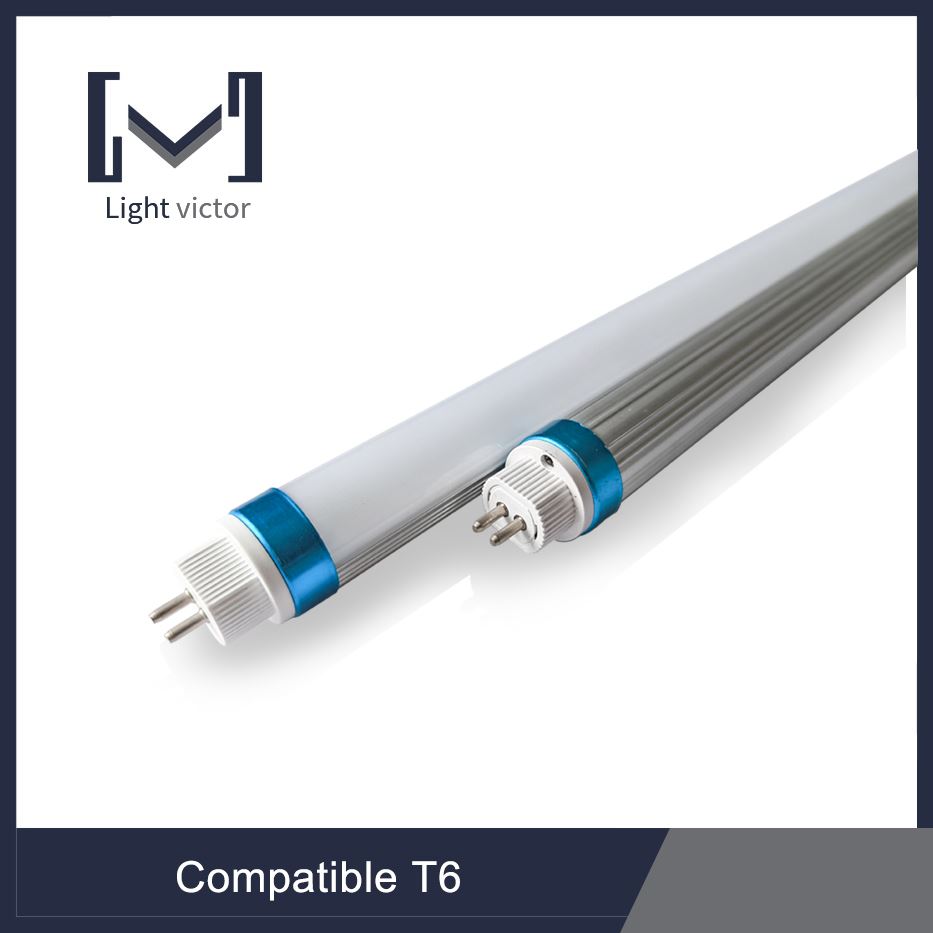 ꯑꯦꯂꯏꯗꯤ ꯁꯤꯂꯟꯇ 广州聚鑫 一组 林炯婷