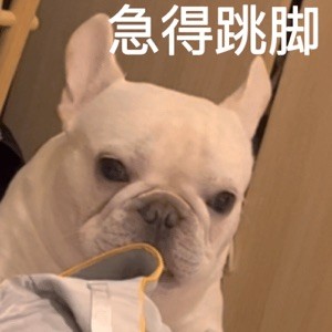 ꯑꯦꯔꯒꯖꯤꯒꯗꯤꯑꯦꯐꯗꯤꯑꯦꯏꯆ꯴꯳꯵꯴꯳꯵ ꯂꯩ꯫