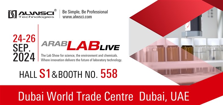 202410261322 202410261322